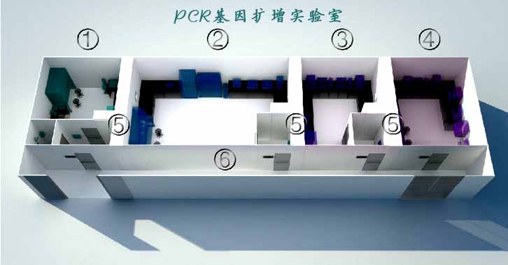 PCR基因擴增實驗室