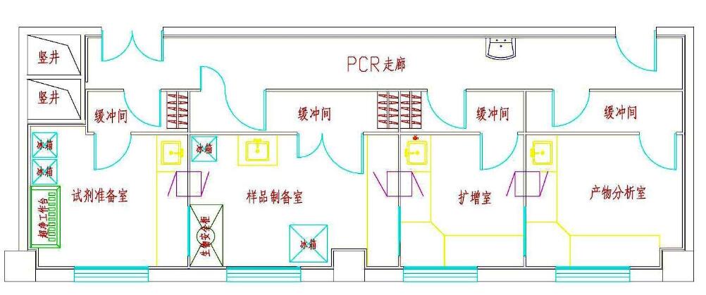 pcr實驗室設計